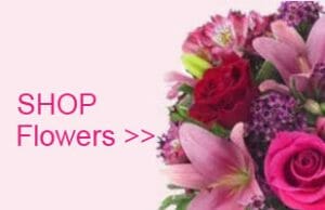 Shop Fresh Flowers In Mississippi Same Day Delivery