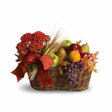 Fruit With A Plant Gift Basket