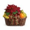 Poinsettia Fruits Gift Basket