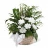 White Blossoms Sympathy Plant Basket