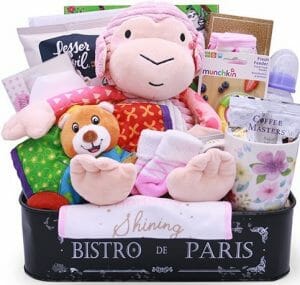 Monkey Business Baby Gift Basket