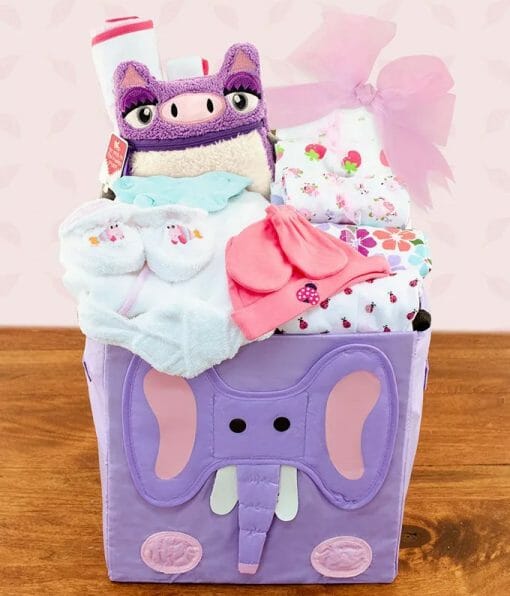 Beautiful Baby Outfits Gift Basket - Pink