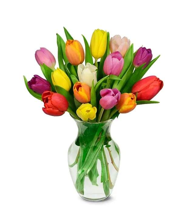 Bright Tulip Bouquet