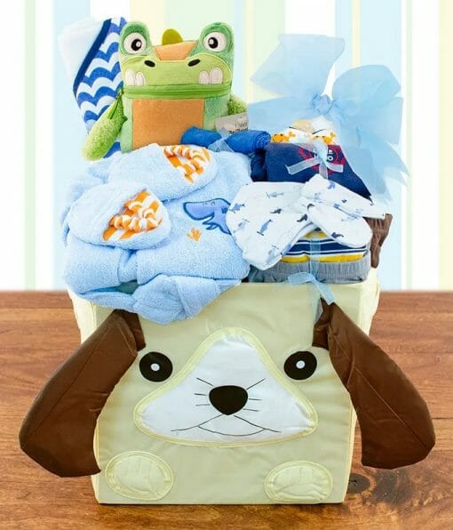 Beautiful Baby Outfits Gift Basket - Blue