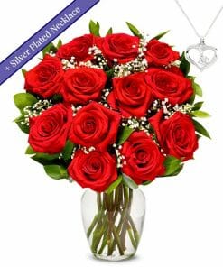 Valentine's Day Long Stem Red Roses with necklace