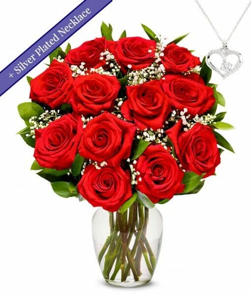 Valentine's Day Long Stem Red Roses with necklace