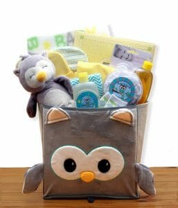 An owl themed baby gift basket