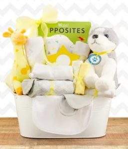 an adorable gift basket with teddy bears, books, towels and more.