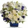 $49.99 Clear Blue Skies Sympathy Flowers