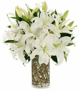 Captivating White Lilies: Unveiling Elegance with Fast Gift's Unmatched Floral Delivery