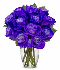 Purple Roses displayed in a clear flower vase.