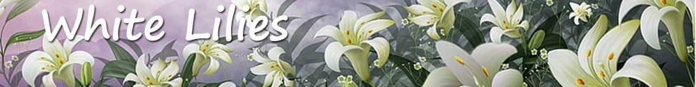 Exquisite White Lilies: Symbolizing Elegance and Fast Gift's Unmatched Floral Delivery